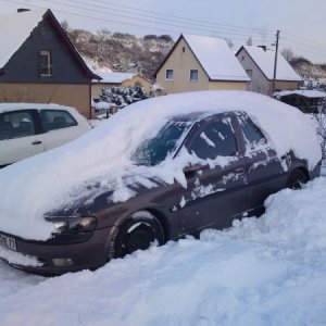 der Hirsch im Schneegestöber