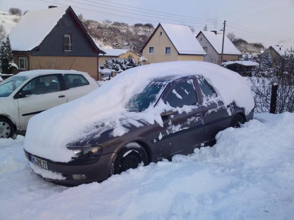 der Hirsch im Schneegestöber